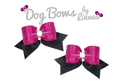 Shocking Pink and Black