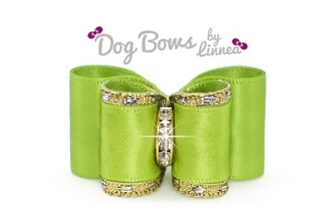 Classic Gold Satin Apple Green