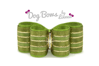 Green Satin Sheer Gold Stripe