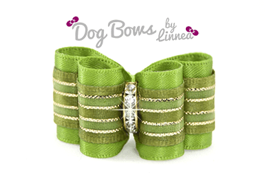 Green Satin Sheer Gold Stripe