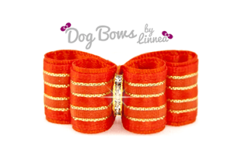 Orange Satin Sheer Gold Stripe
