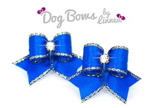 Royal Blue w/ Gold Edge