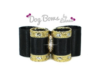 Classic Gold Satin Black