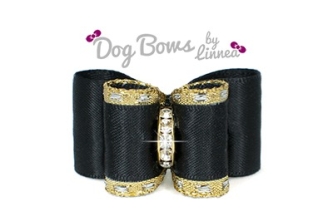 Classic Gold Satin Black