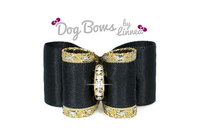 Classic Gold Satin Black