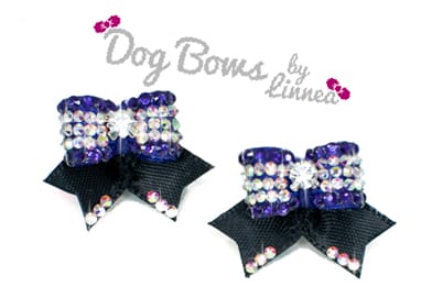 Maltese Pair ~ September Bloom ~ Regual Purple