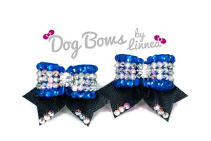Maltese Pair ~ September Bloom ~ Royal Blue