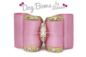 Classic Gold Satin Hot Pink