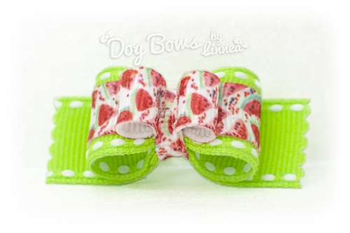 Fizzy Dizzy Watermelon ~ Plush Tie
