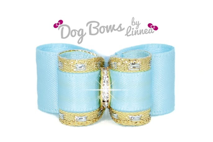 Classic Gold Satin Light Blue