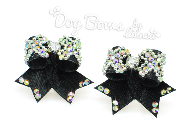 Maltese Pair ~ X-TRA Stylish