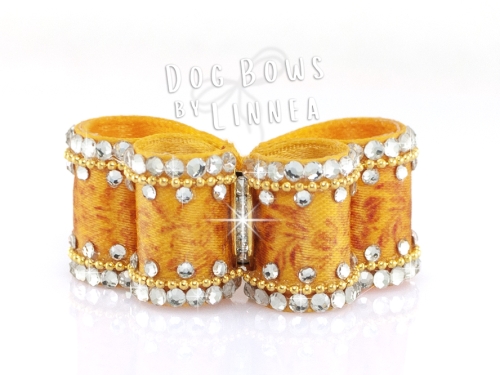 Puppy ~ Dark Goldvalley Dazzle