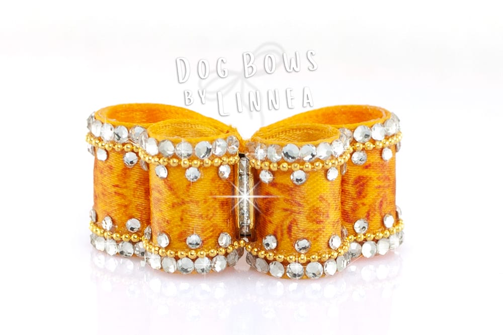 Puppy ~ Dark Goldvalley Dazzle