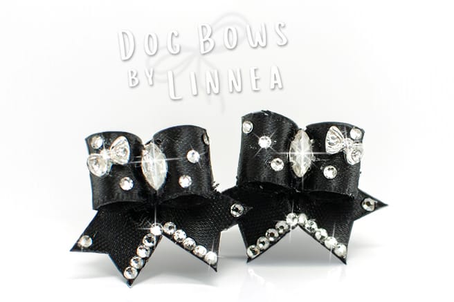 Maltese Pairs ~ Butterfly Moment