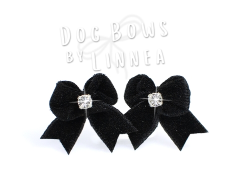 Butterfly Maltese Pair Black